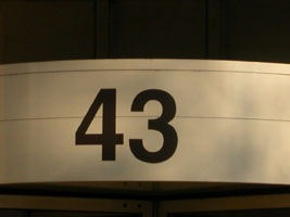 43