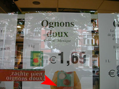 ognon