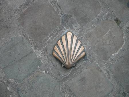 bru-shell