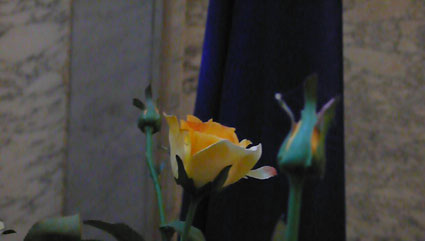 orange-bleue-691.jpg