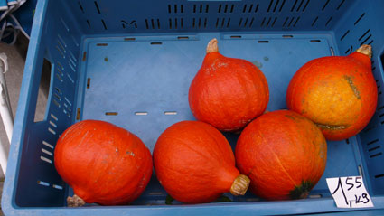 orange-bleue-jour-87.jpg
