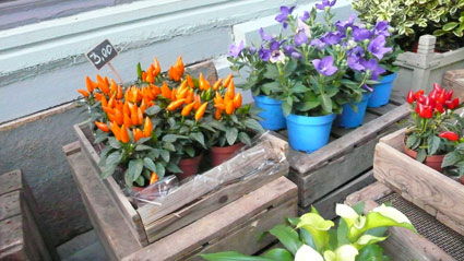 orange-bleue.info