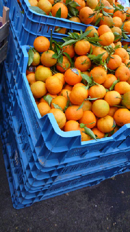 orange-bleue-jour-145.jpg
