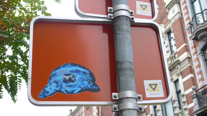 orange-bleue-jour-152.jpg
