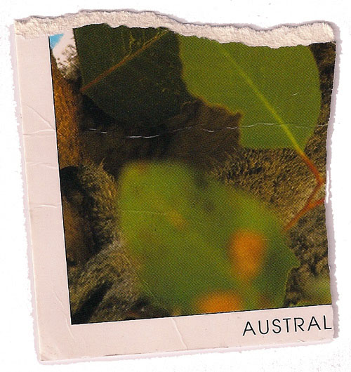 correspondance-amoureuse-1