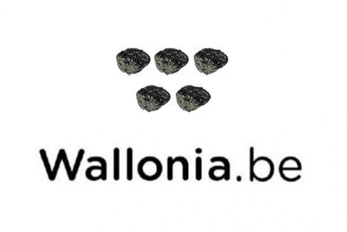 logo-wallonia