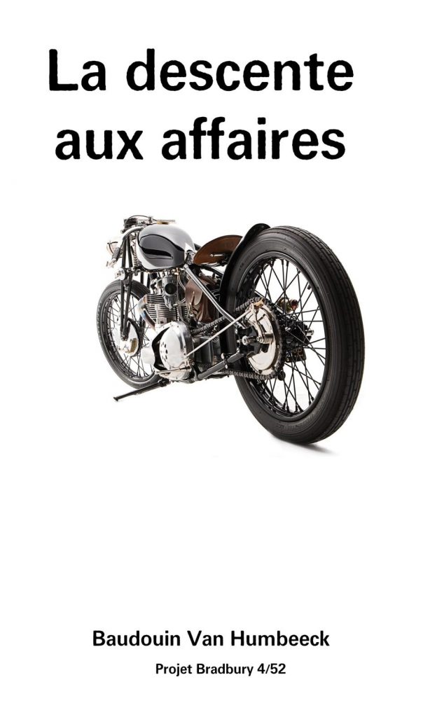 Couverture - La descente aux affaires