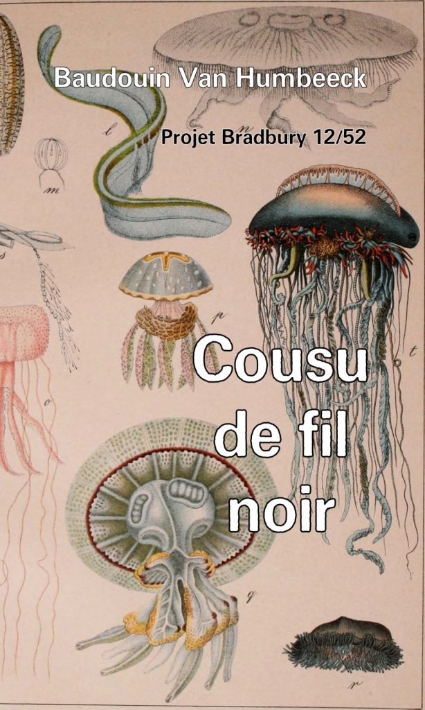 cousu-de-fil-ntoir