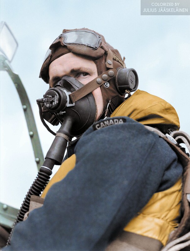 pilote Royal Air Force